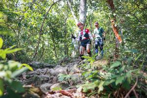 BIB: 
                            <button type="button" onclick="openModal(27699130)" class="btn btn-primary btn-sm float-right btn-popup" data-toggle="modal" data-target=".modal-high-quality">
                        <i class="fas fa-shopping-cart"></i> Add to Cart
                    </button>
                                            <button type="button" onclick="isThisMe(27699130, true)" class="btn btn-success btn-sm float-right btn-popup btn-isme hidden" data-toggle="tooltip" data-placement="bottom" title="นี่คือรูปของคุณใช่ไหม คลิกที่นี่เพื่อเอาเข้าอัลบั้ม">
                        <i class="fas fa-plus"></i> Add to album
                    </button>
                    <button type="button" onclick="isThisMe(27699130, false)" class="btn btn-warning btn-sm float-right btn-popup btn-isnotme hidden">
                        <i class="fas fa-ban"></i> Remove from album
                    </button>